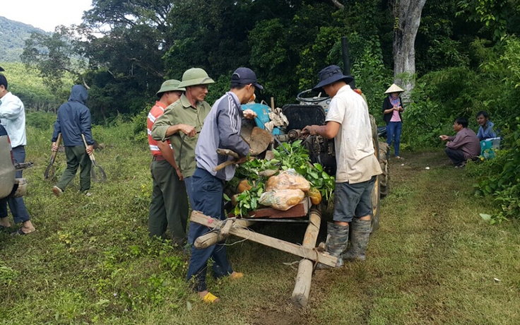 Đưa cây quế về Kbang