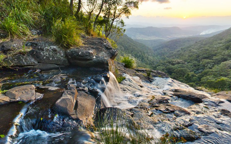 Trekking rừng ở phố biển Gold Coast