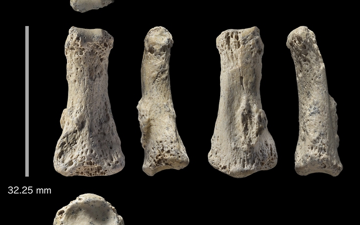 Phát hiện xương ngón tay 85.000 năm tuổi