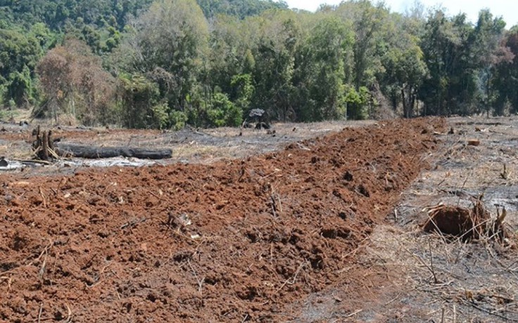 Điều tra vụ sang nhượng đất, xây dựng trái phép trên đất rừng ở Đắk Lắk