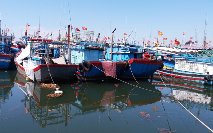 Phản đối tàu Trung Quốc đánh ngư dân, cướp tài sản