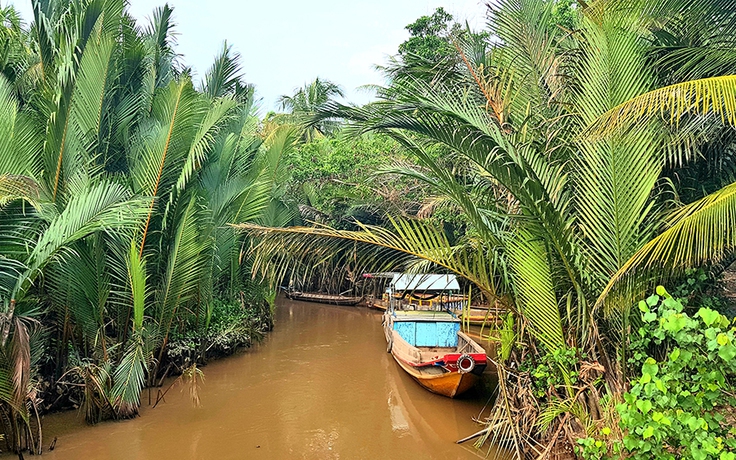 Về miền Tây thăm cồn Hưng Phong ngắm cảnh miệt vườn thật đã