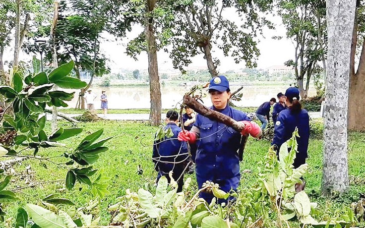 Vất vả 'dọn' cây cối sau bão