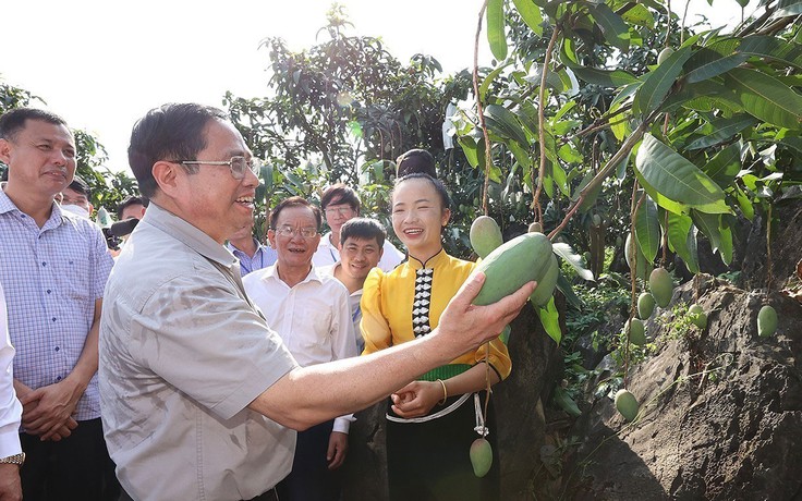 Đẩy mạnh đầu tư phát triển mạng lưới giao thông vùng Tây Bắc