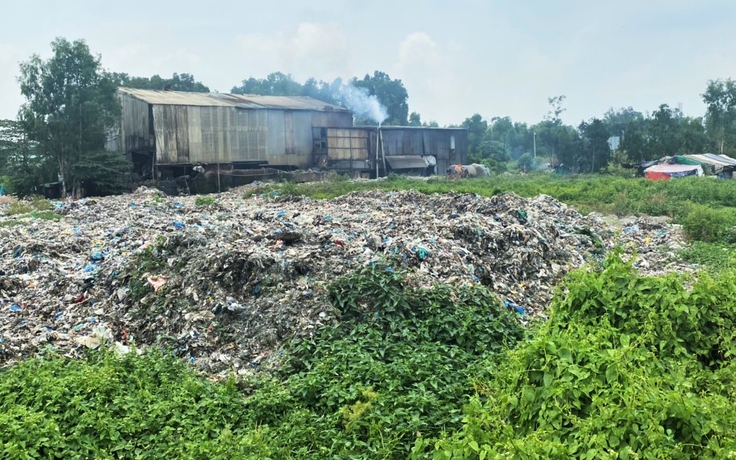 Không dung túng hành vi hủy hoại môi trường