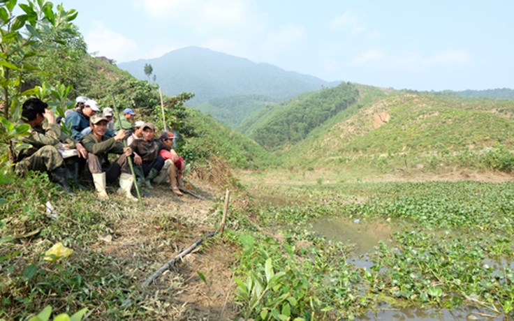 'Cơn sốt rùa' ở Hố Cau