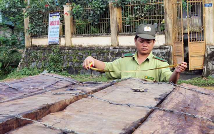 Khởi tố 2 bị can liên quan vụ phá rừng quy mô lớn tại Đà Nẵng