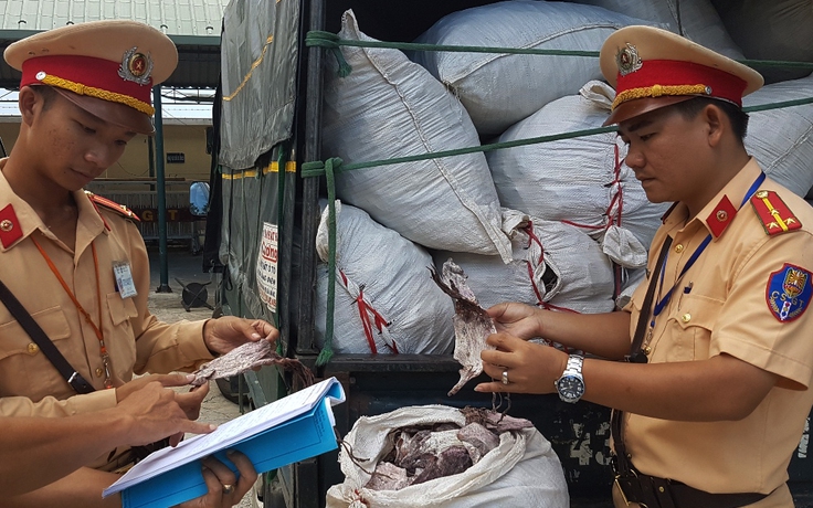 Truy tìm nguồn gốc 2 tấn mực mốc nổi rêu phát hiện ở Đà Nẵng