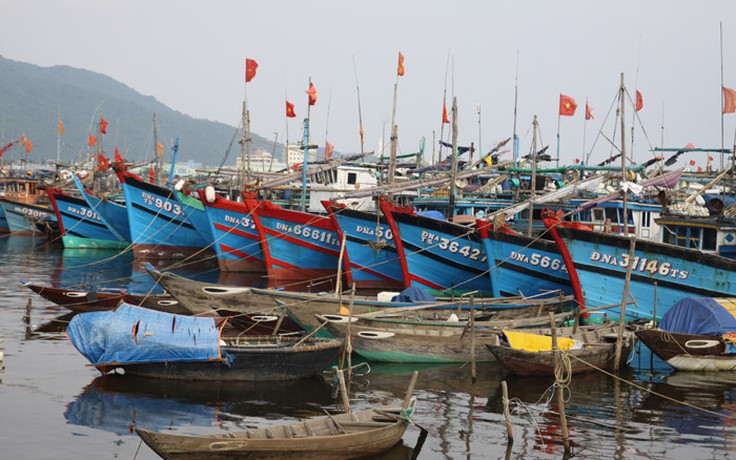 21 tàu, 223 ngư dân Quảng Ngãi nằm trong vùng nguy hiểm của bão Sakira