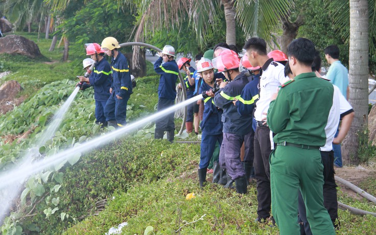 Đám cháy ở bán đảo Sơn Trà là do du khách bất cẩn