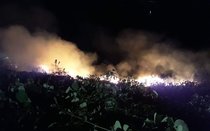 Cháy rừng trong đêm trên bán đảo Sơn Trà