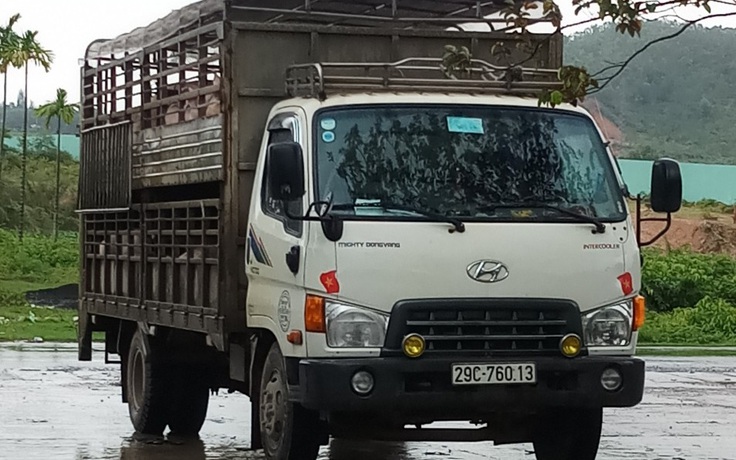 Cảnh sát giao thông truy bắt xe chở lợn vượt trạm kiểm dịch tả lợn châu Phi