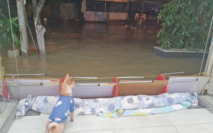 Đà Nẵng: Không mưa, khu dân cư vẫn ngập do triều cường