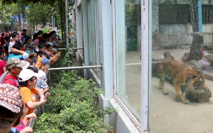 Giản dị và bình tâm