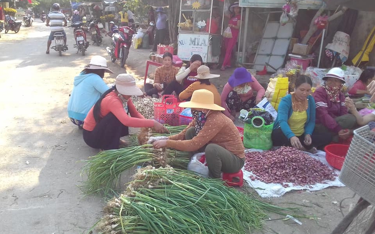 Vị giác sông Trà