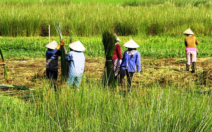 Chiếu Nga Sơn