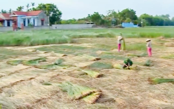 Về Nga Sơn, chạm tay vào nỗi nhớ