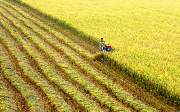 Chút tản mát miền Tây