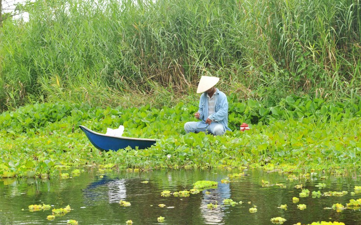 Lỡ hẹn miền Tây