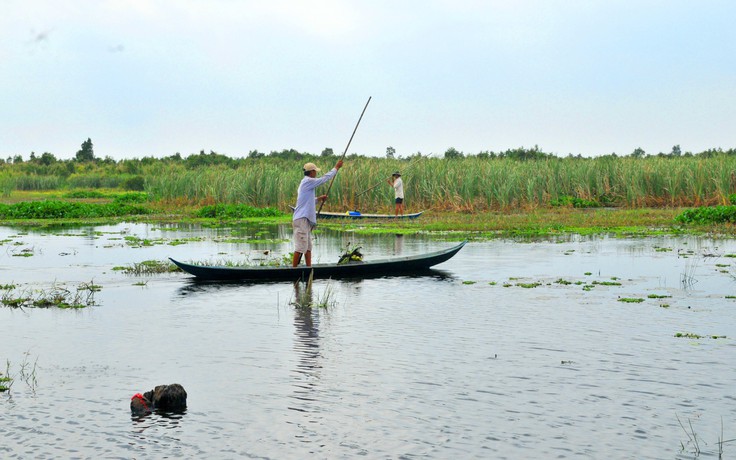 Mùa hạ, miệt thứ và tôi