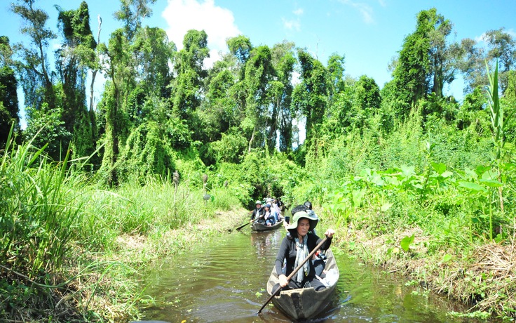 Làm rể miền Tây