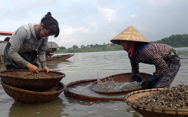 Mùa cào hến trên sông La