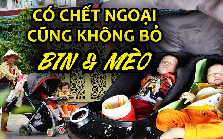 Cụ bà đi khắp Sài Gòn: 'Bin và Mèo ơi, có chết ngoại cũng không bỏ con'