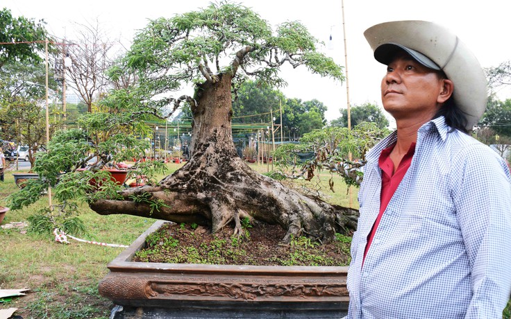 'Choáng' với vườn kiểng cả tỉ đồng từ miền Tây lên bán cho người Sài Gòn chưng Tết