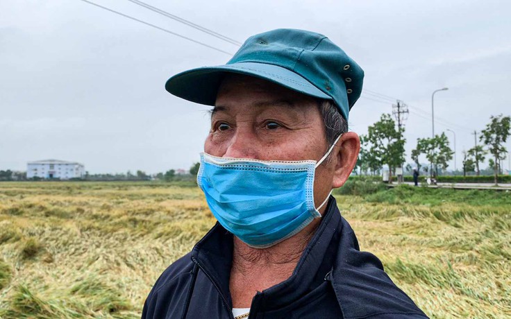 Mưa dị thường tiếp tục 'làm khổ' nông dân Thừa Thiên - Huế