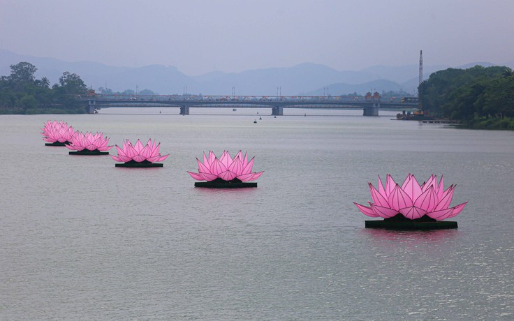 Người Huế hân hoan khi 7 đóa sen khổng lồ 'tái xuất' trên sông Hương
