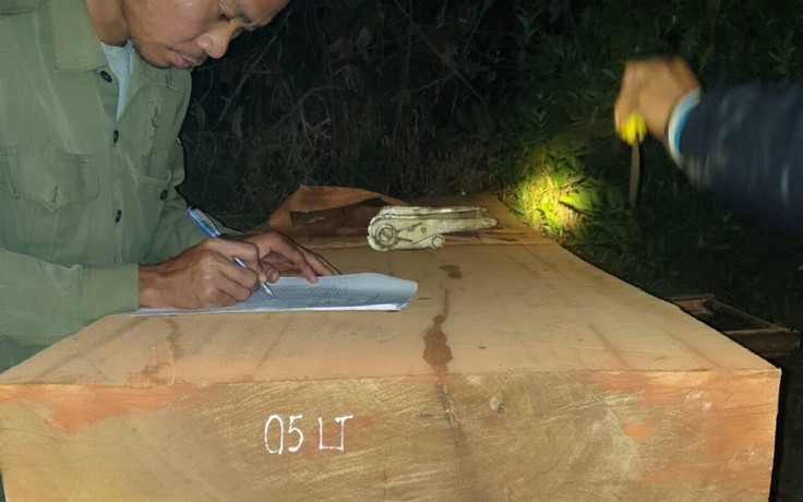 Kon Tum: Tiếp tục mật phục bắt quả tang lâm tặc vận chuyển gỗ lậu