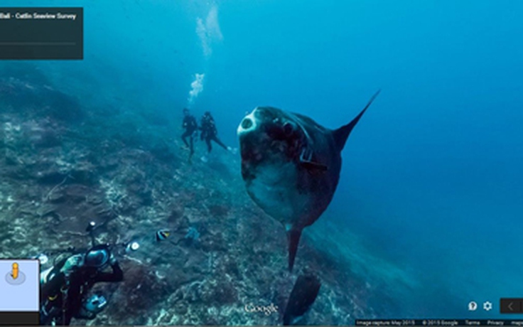 Google Street View hiện đã cho phép khám phá đại dương