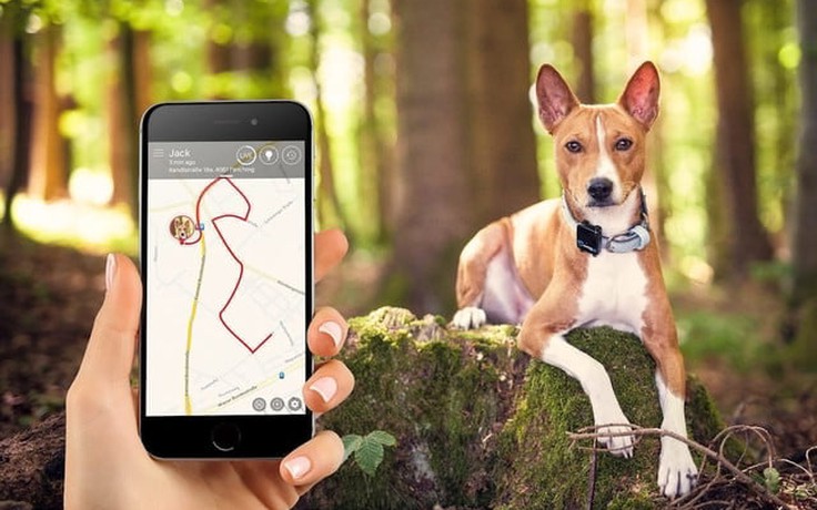 Theo dõi thú cưng theo thời gian thực với Tractive GPS Pet Tracker