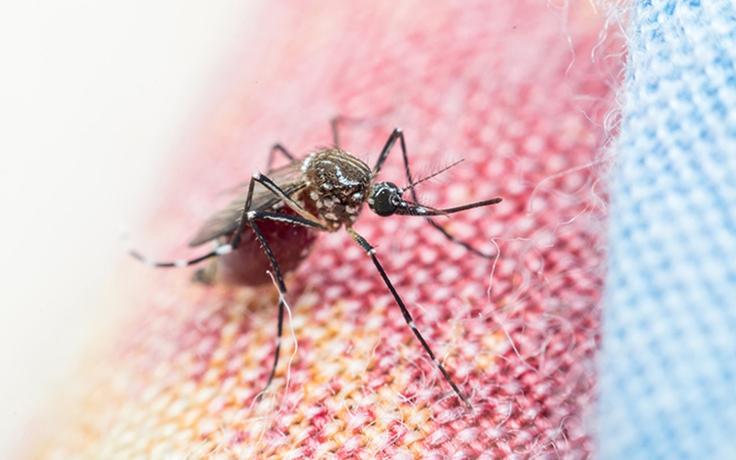 Drone và smartphone giúp chống bệnh sốt rét ở Tanzania