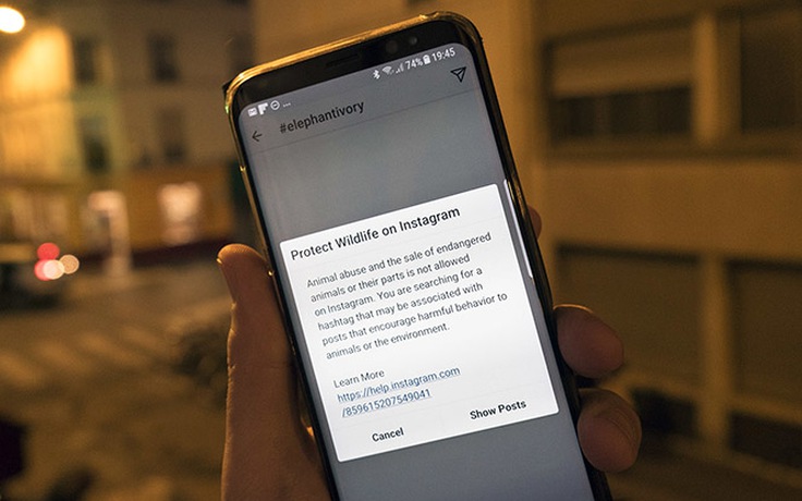 Instagram muốn người dùng ngừng gây nguy hiểm cho thú vật