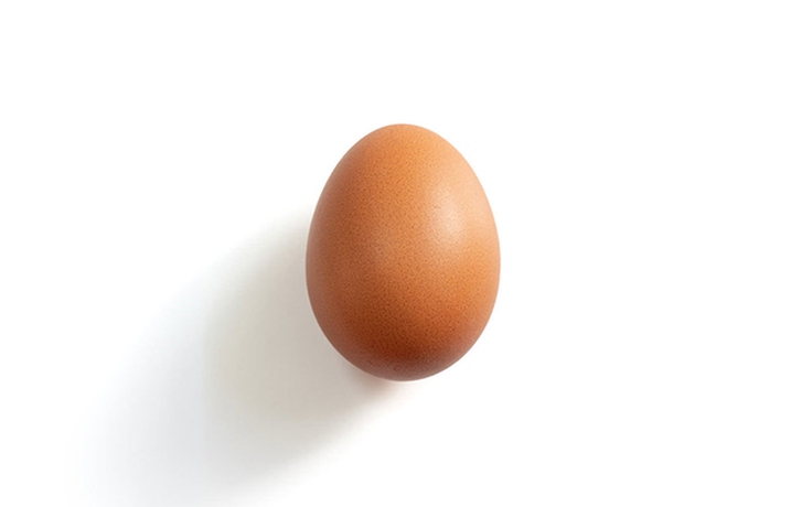 World Record Egg là một trong những tweet hàng đầu năm 2019