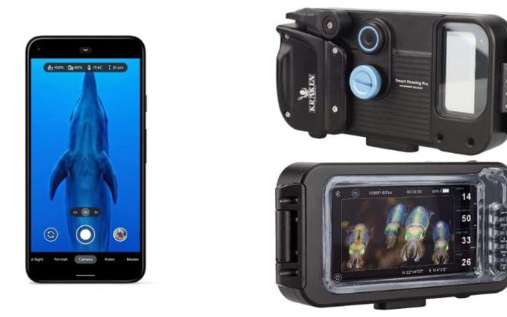 Google phát hành tính năng giúp smartphone Pixel chụp ảnh dưới nước