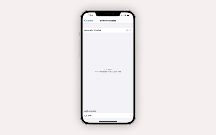 iOS 14.6 beta 1 phát hành cho nhà phát triển