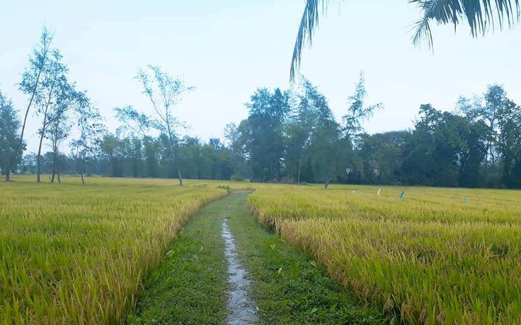 Mẹ ơi, hôm nay con nhớ nhà!