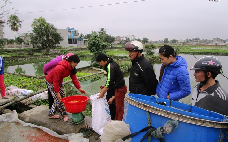 Trúng đậm nhờ nuôi “cá 23”