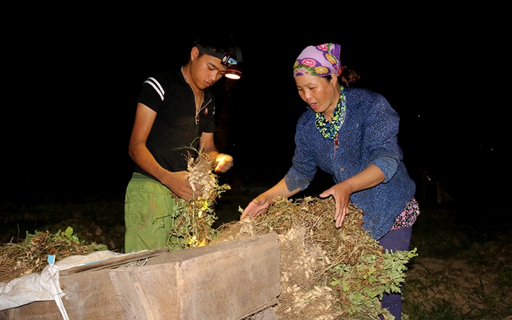 Tránh nắng thiêu đốt, nông dân ra đồng lúc nửa đêm