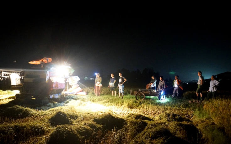 Nông dân Hà Tĩnh ra đồng gặt lúa vào ban đêm để tránh nóng