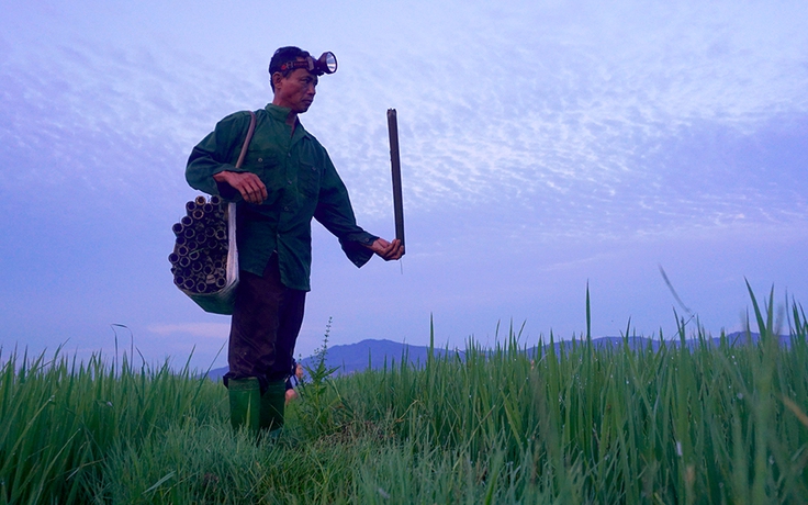 Độc đáo nghề thả trúm lươn đồng ở Hà Tĩnh