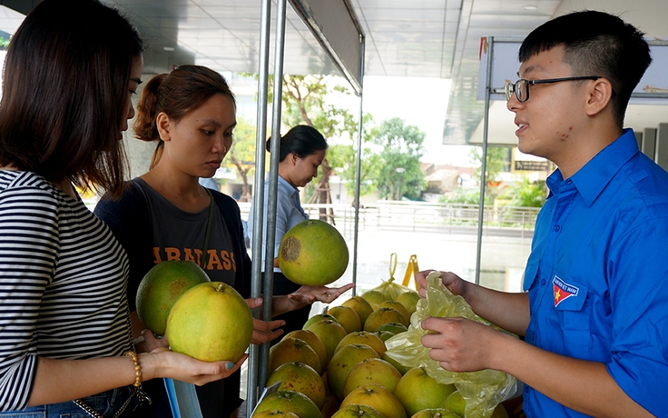 Thanh niên Hà Tĩnh bán bưởi Phúc Trạch giúp dân vùng lũ