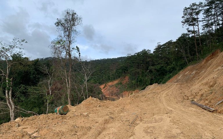 Cục Kiểm lâm nói gì về vụ phá rừng làm đường qua vườn quốc gia ở Lâm Đồng?