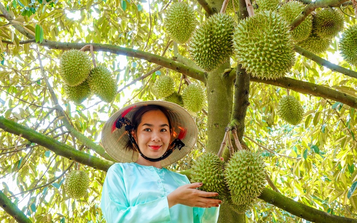 Trung Quốc mở cửa biên giới, xuất khẩu rau quả ‘cầm chắc 4 tỉ USD’ Trung Quốc mở cửa biên giới, xuất khẩu rau quả ‘cầm chắc 4 tỉ USD’
