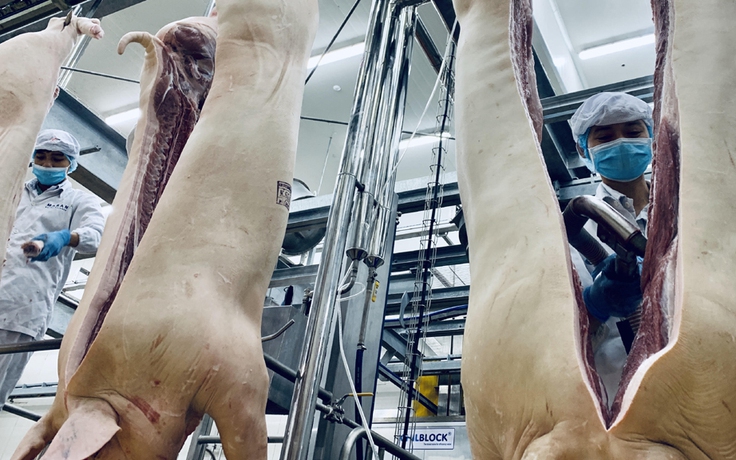 Giá thịt lợn phi mã, 2 ngày Bộ NN-PTNT ban hành liên tiếp 5 văn bản