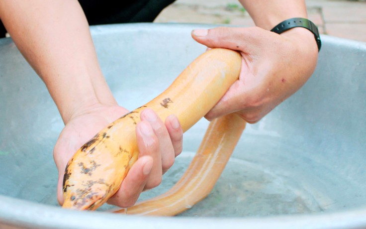 Nhiều người hiếu kỳ rủ đi xem lươn vàng ở Bạc Liêu