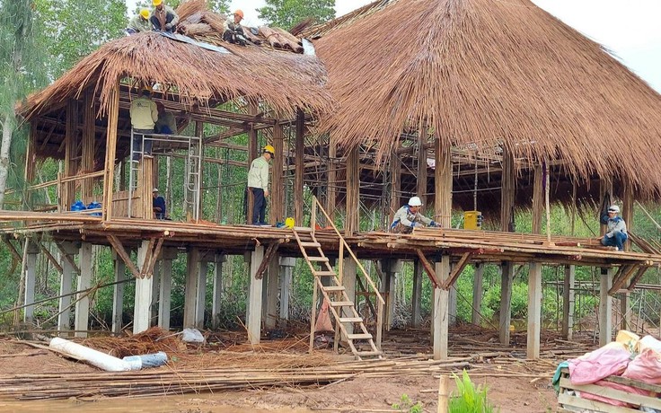 Bạc Liêu: Công ty điện gió cam kết tháo dỡ nhà gỗ tiền tỉ trong rừng phòng hộ