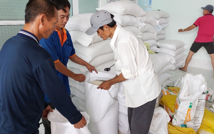Hỗ trợ gần 4.000 tấn gạo cho hơn 261.000 người thuộc hộ nghèo, cận nghèo